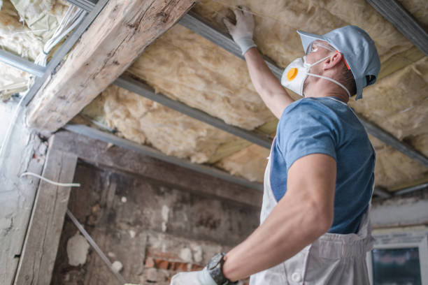 Best Insulation Contractors for Homes  in Bloomfield, NY