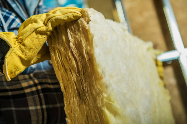 Best Insulation Replacement Services  in Bloomfield, NY