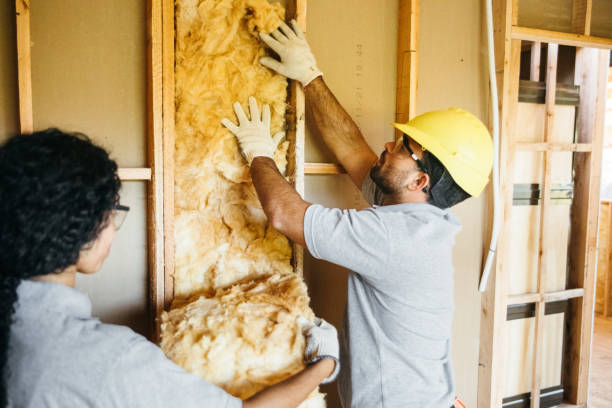Best Insulation Contractor Near Me  in Bloomfield, NY
