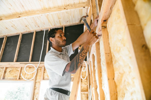 Best Insulation Removal  in Bloomfield, NY
