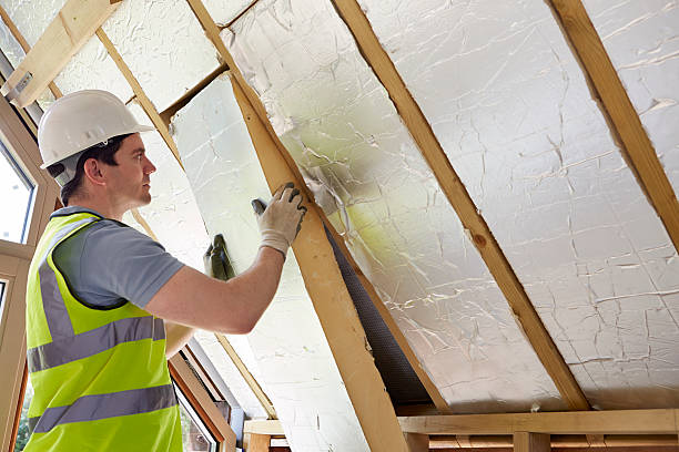 Best Attic Insulation Near Me  in Bloomfield, NY