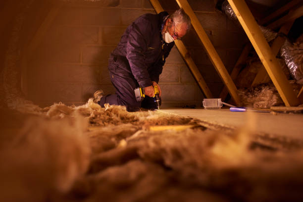 Professional Insulation Contractor in Bloomfield, NY