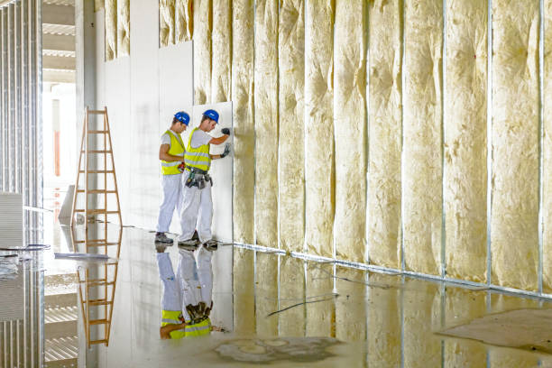 Best Wall Insulation Contractor  in Bloomfield, NY